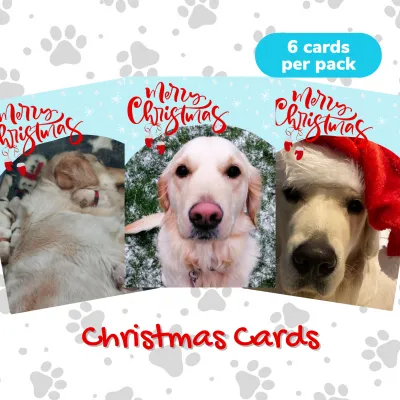 Shop Purchases - Christmas Cards